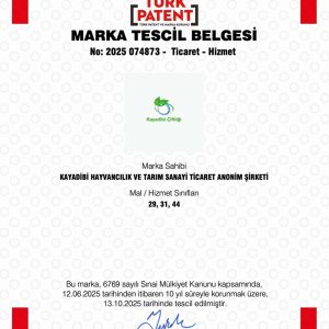 Marka Tescil Belgesi